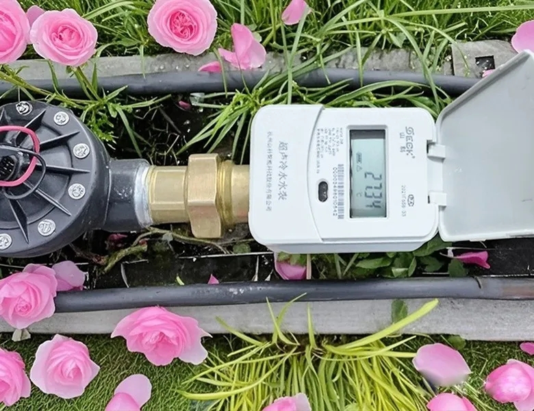 杭州“頂流”驚艷全國，山科如何守護城市“空中花廊”